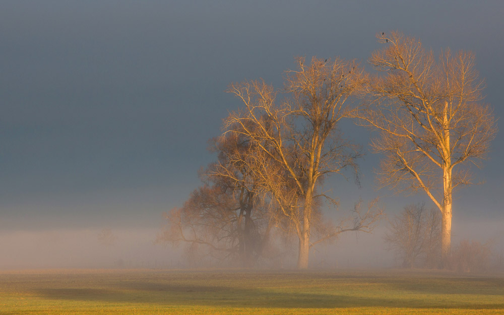 Platz 8 Willi Bitzer